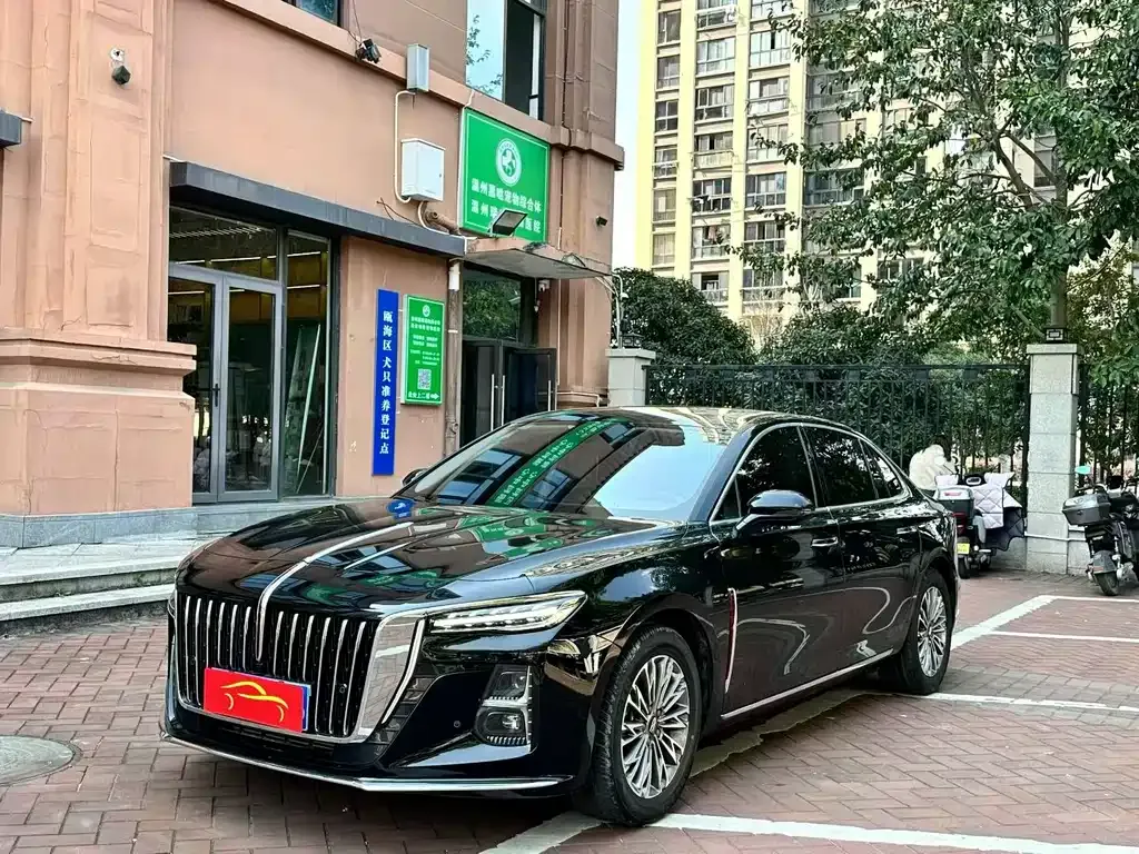 Hongqi H5 2023 из CN, фото 1
