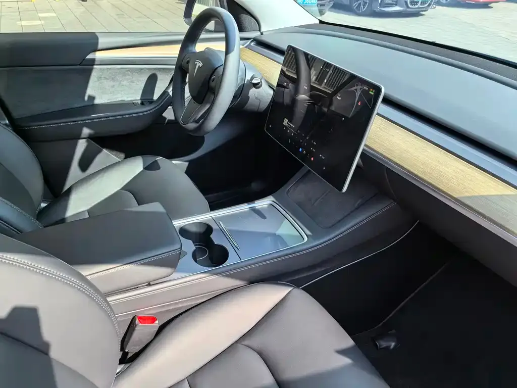 Tesla Model Y 2022 из CN, фото 2
