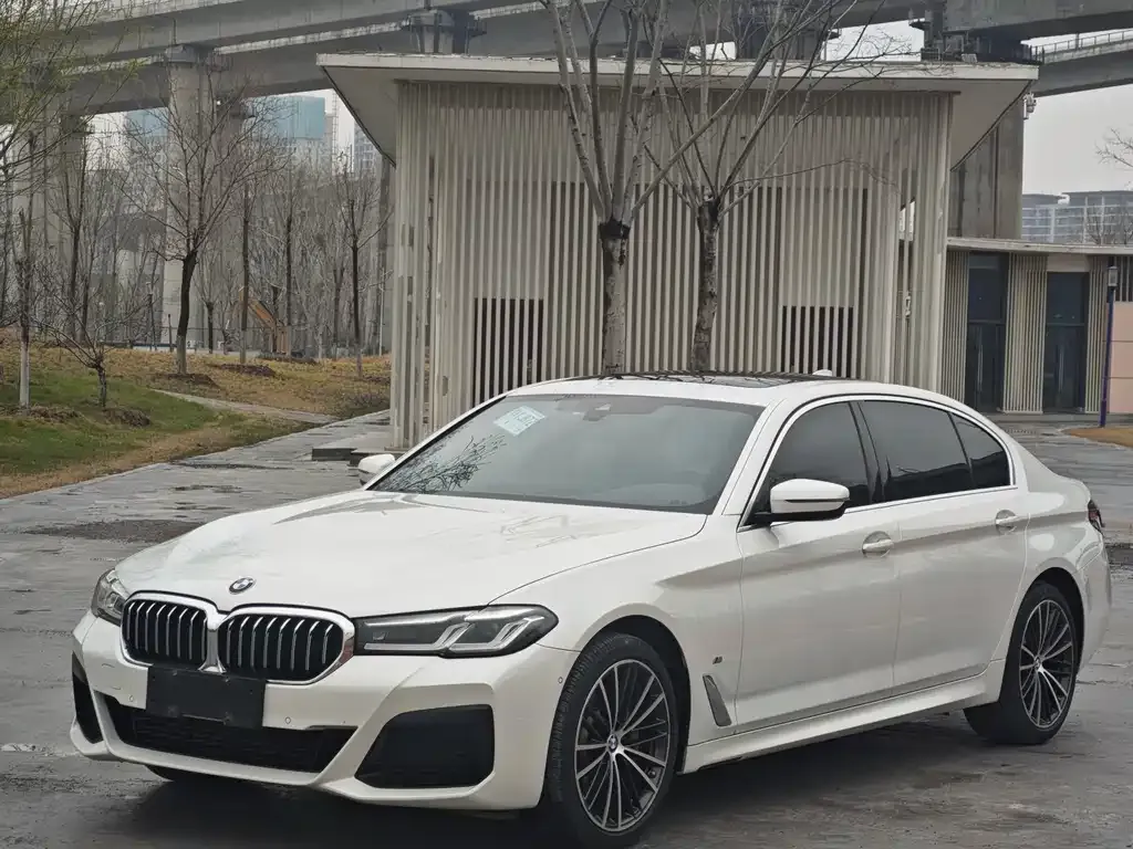 BMW 5 Series 2021 из CN, фото 1