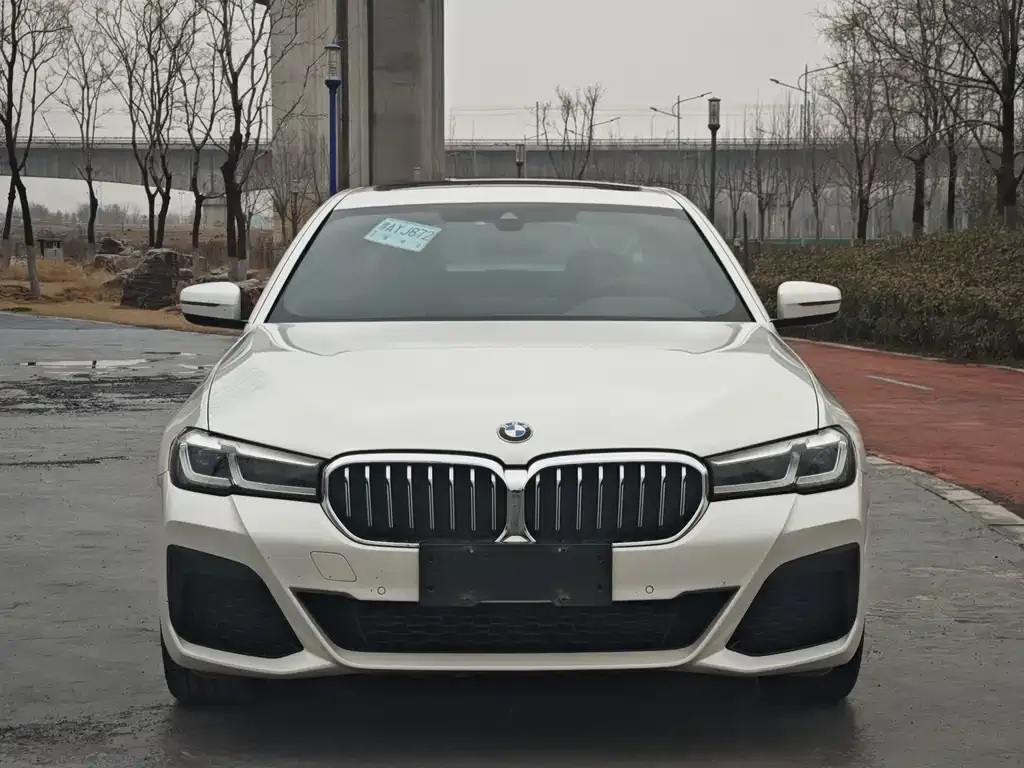 BMW 5 Series 2021 из CN, фото 2
