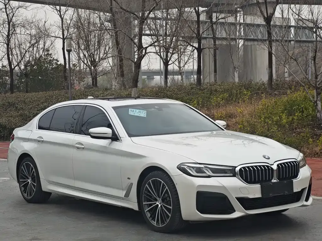 BMW 5 Series 2021 из CN, фото 5