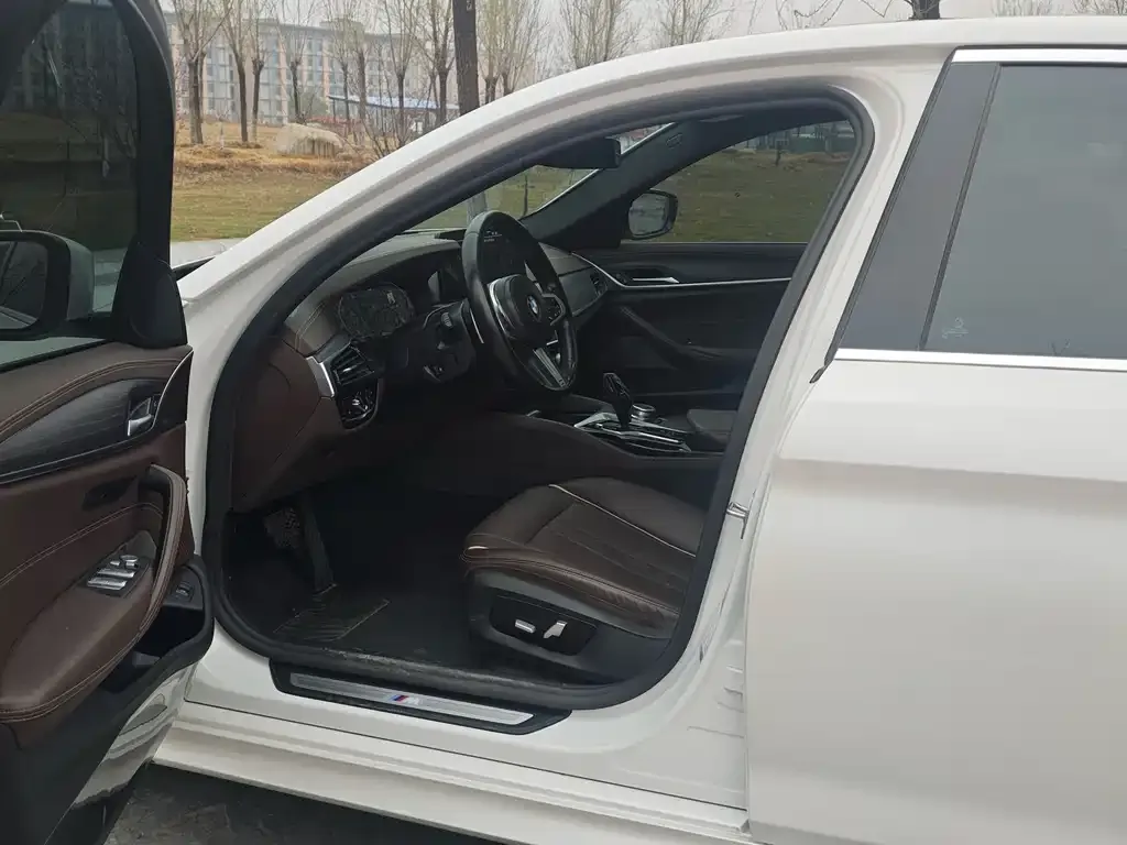 BMW 5 Series 2021 из CN, фото 7