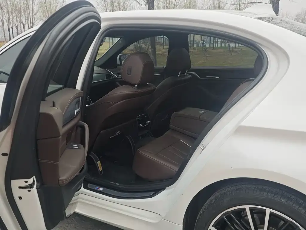 BMW 5 Series 2021 из CN, фото 9