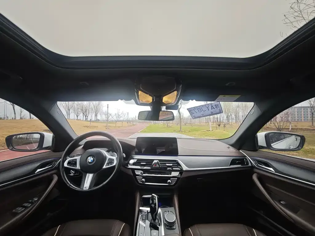 BMW 5 Series 2021 из CN, фото 3
