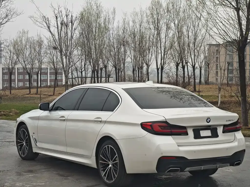 BMW 5 Series 2021 из CN, фото 8
