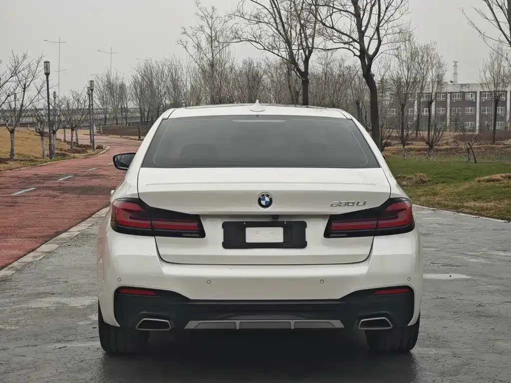 BMW 5 Series 2021 из CN, фото 4