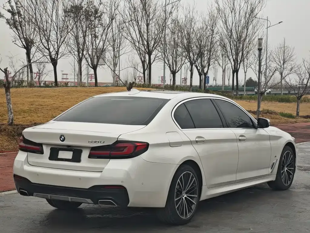 BMW 5 Series 2021 из CN, фото 6