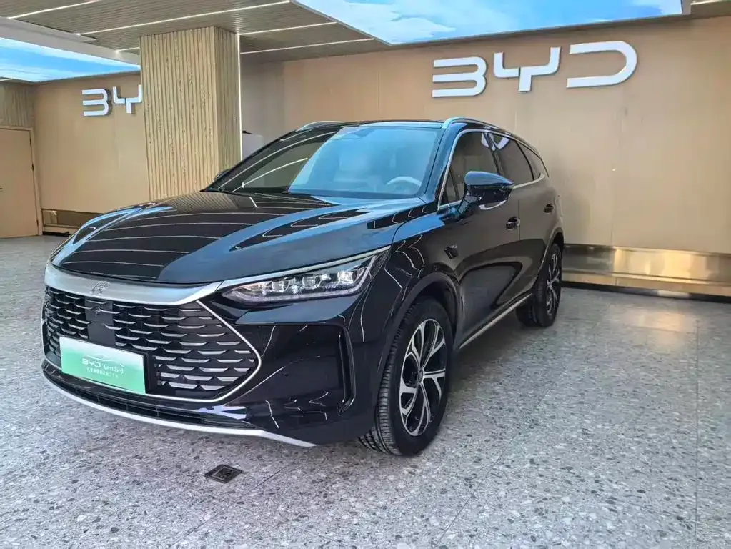 BYD Tang New Energy 2025 из CN, фото 1