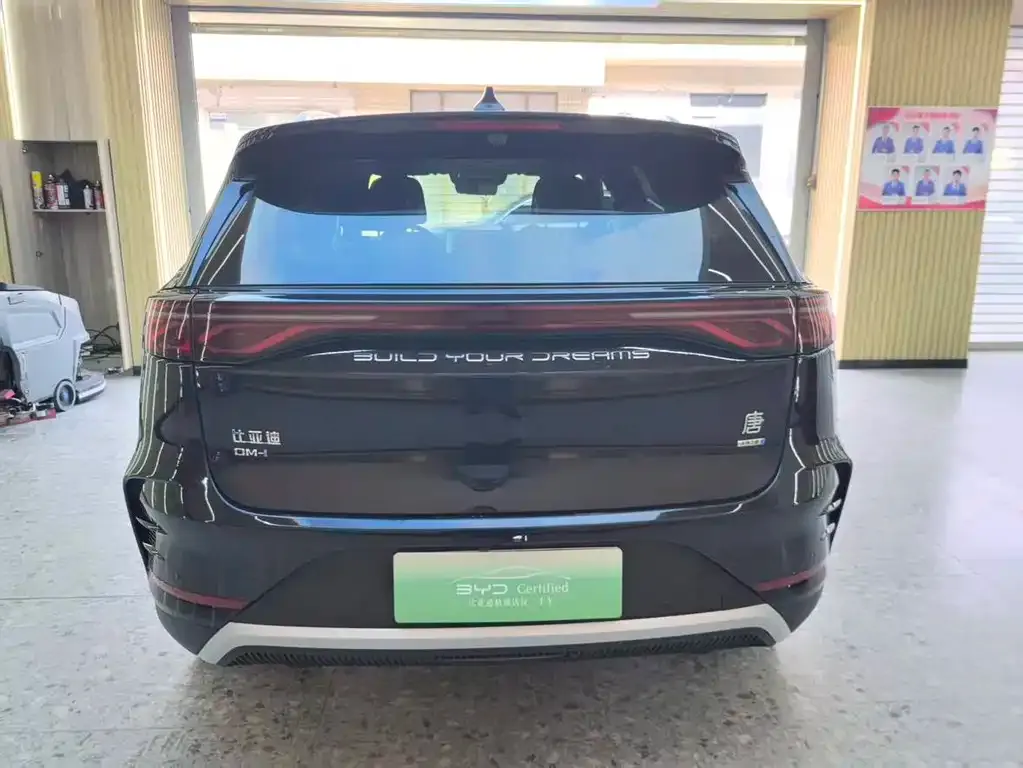 BYD Tang New Energy 2025 из CN, фото 5