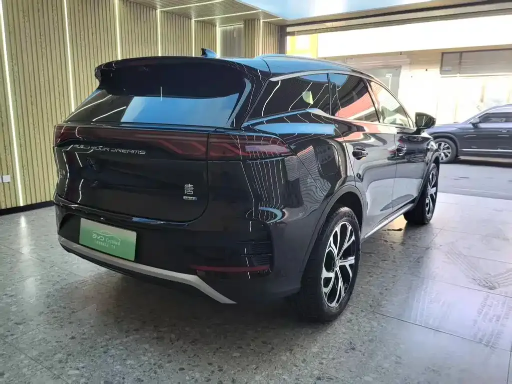 BYD Tang New Energy 2025 из CN, фото 10