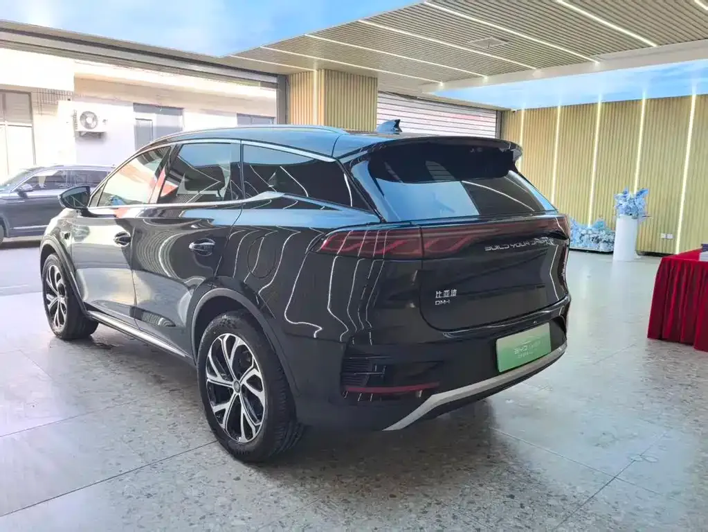 BYD Tang New Energy 2025 из CN, фото 3