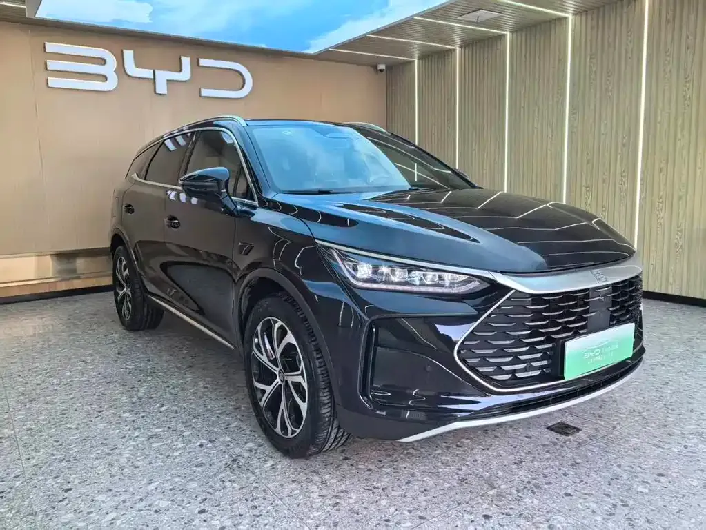 BYD Tang New Energy 2025 из CN, фото 7