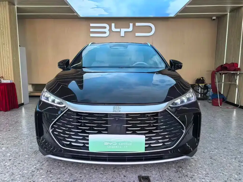 BYD Tang New Energy 2025 из CN, фото 9