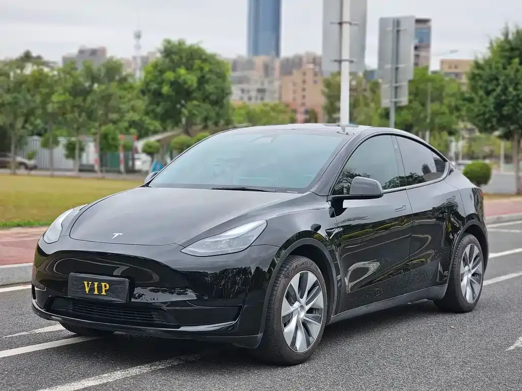 Tesla Model Y 2022 из CN, фото 1