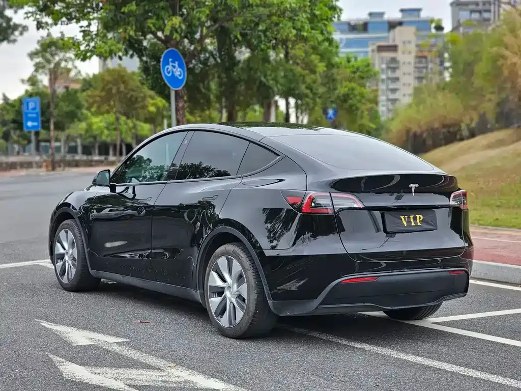 Tesla Model Y 2022 из CN, фото 6