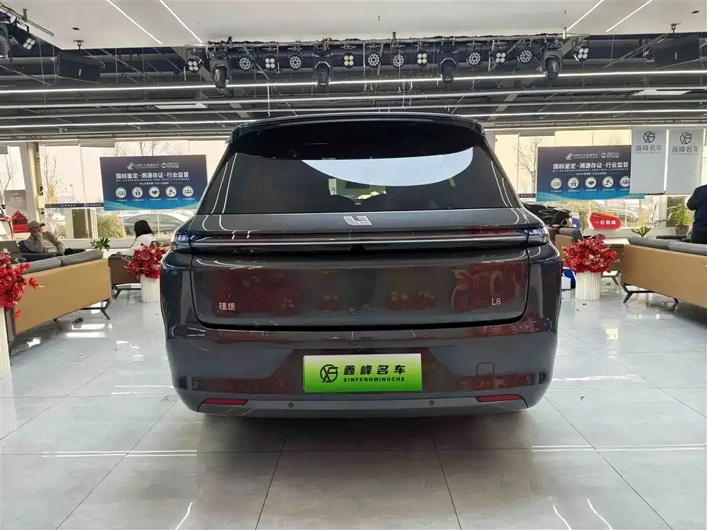Li Auto L8 2023 из CN, фото 8