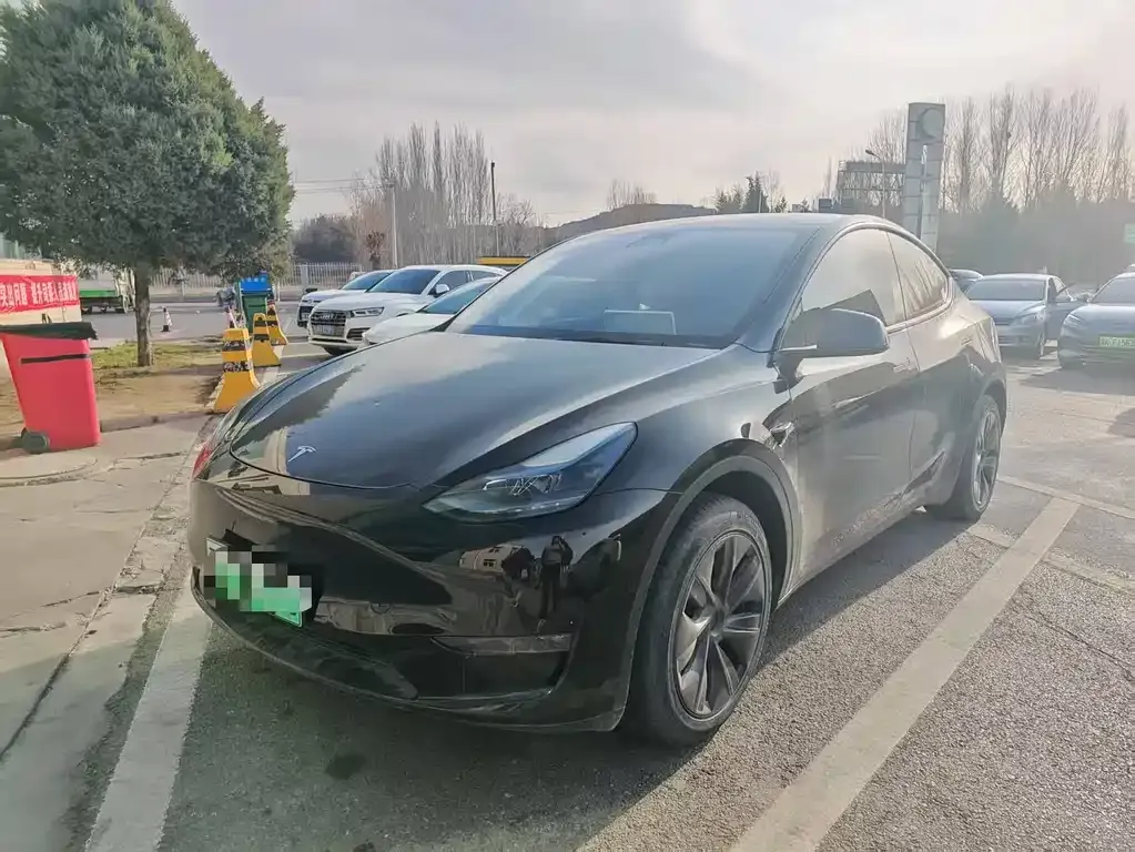 Tesla Model Y — фото 1