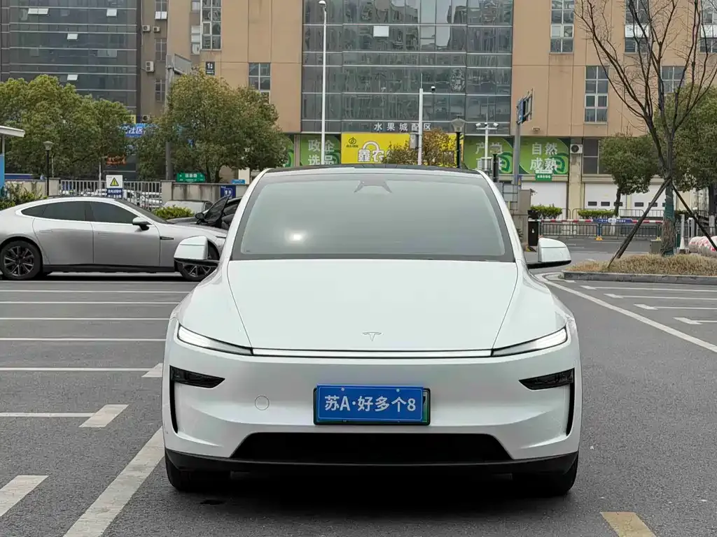 Tesla Model Y 2025 из CN, фото 4