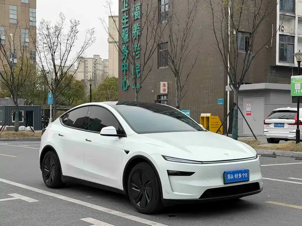 Tesla Model Y 2025 из CN, фото 9