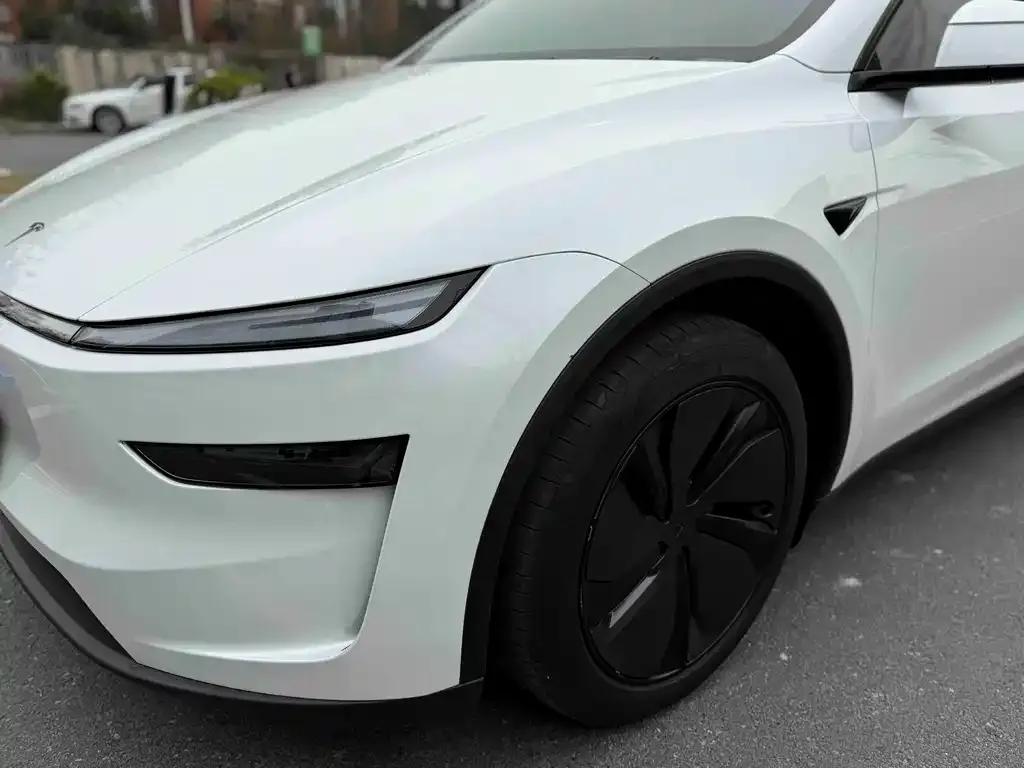 Tesla Model Y 2025 из CN, фото 6