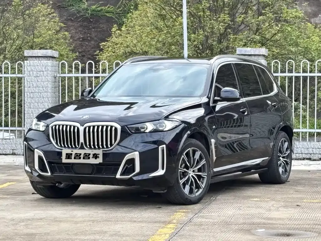 BMW X5 2025 из CN, фото 1