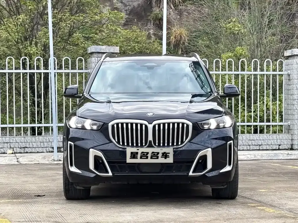 BMW X5 2025 из CN, фото 6