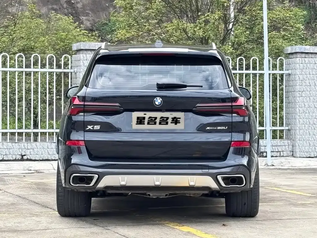 BMW X5 2025 из CN, фото 3