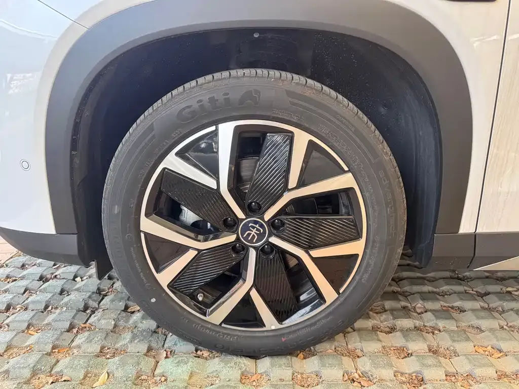 BYD L DM-i 2025 из CN, фото 3