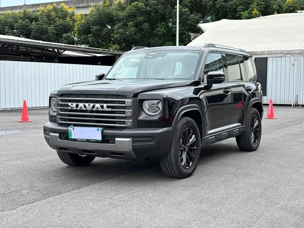 Haval Menglong New Energy 2023 из CN, фото 1