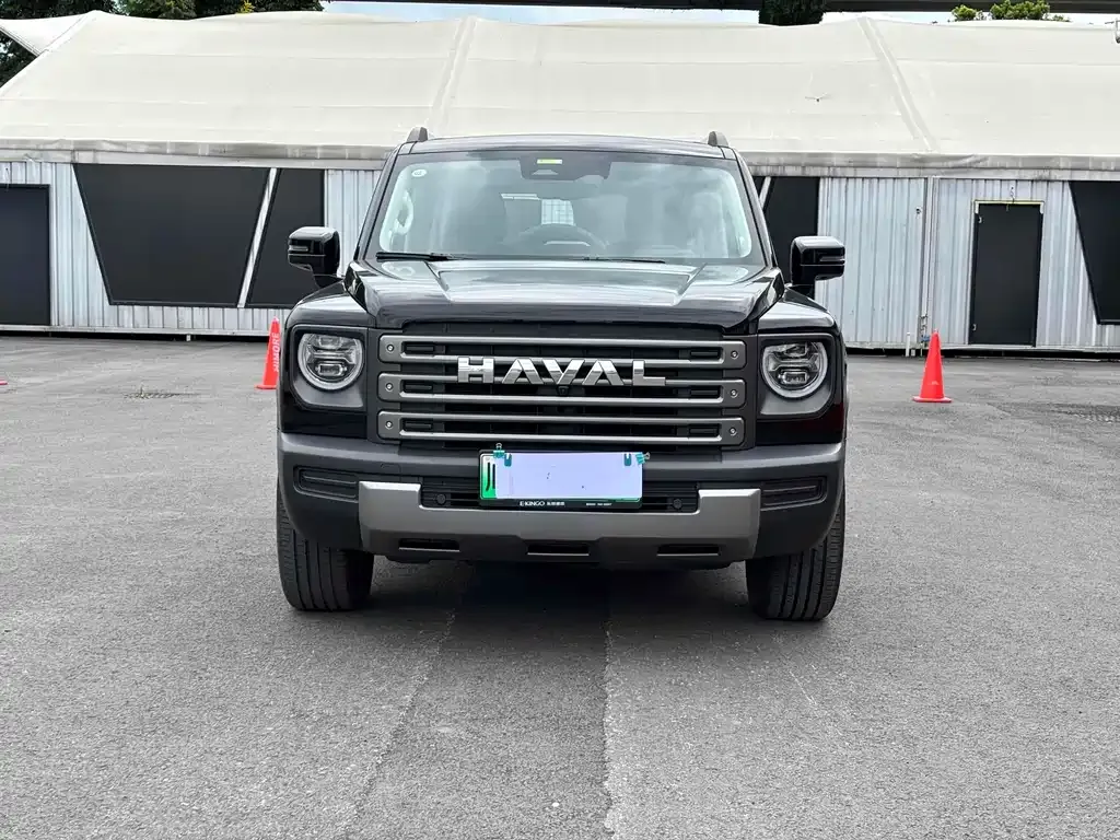 Haval Menglong New Energy 2023 из CN, фото 4
