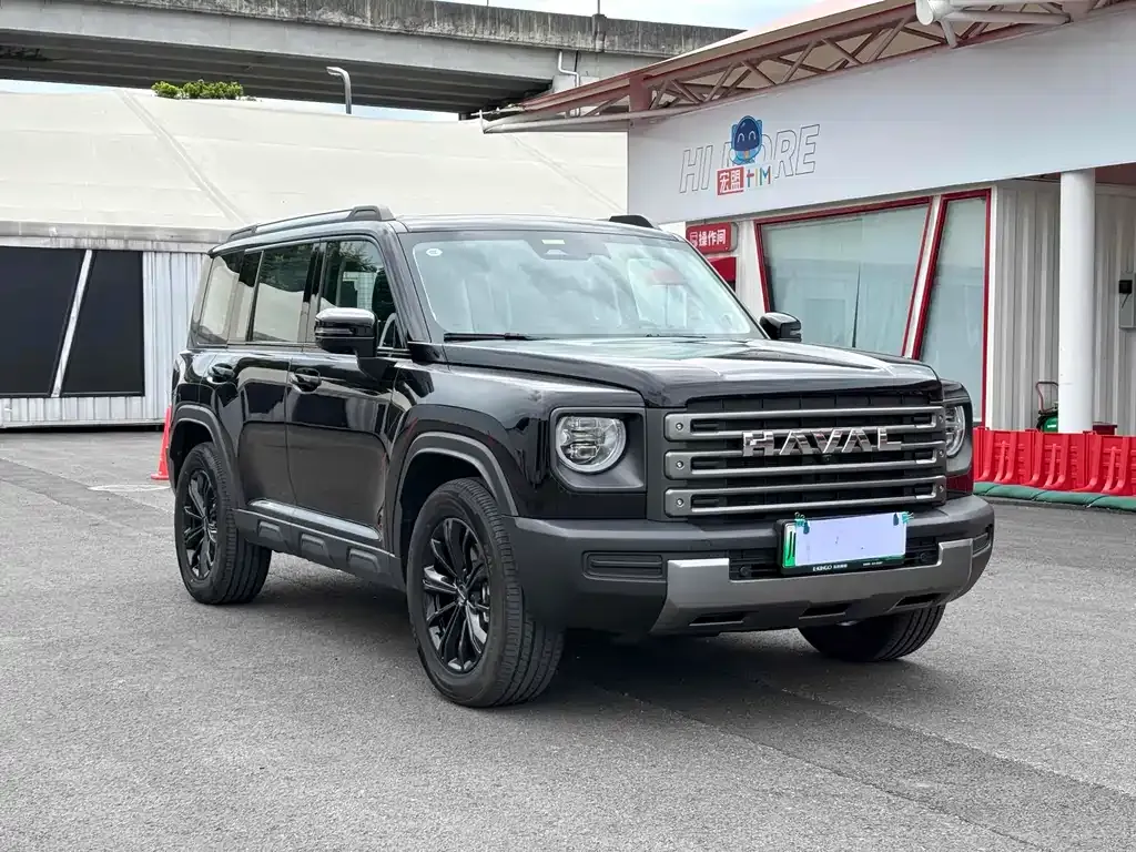 Haval Menglong New Energy 2023 из CN, фото 7