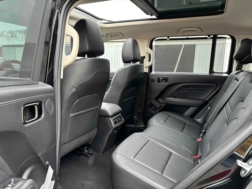 Haval Menglong New Energy 2023 из CN, фото 2