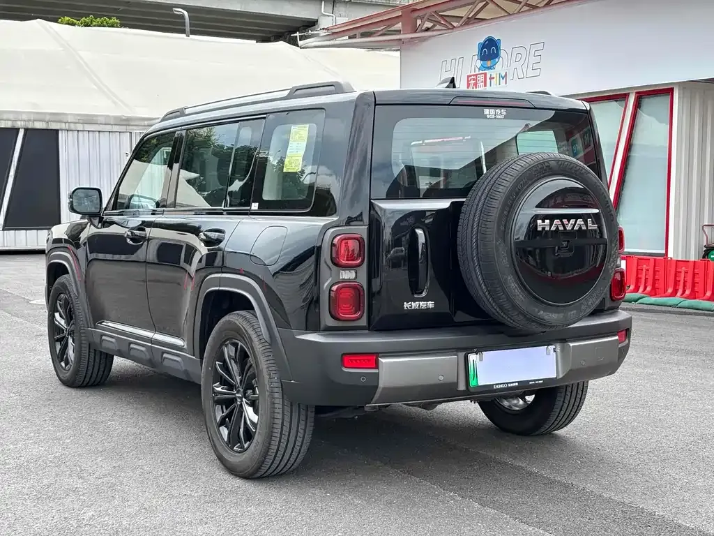 Haval Menglong New Energy 2023 из CN, фото 6