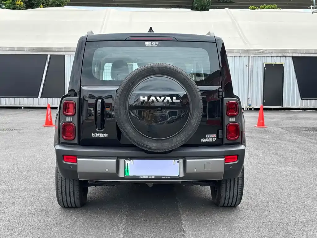 Haval Menglong New Energy 2023 из CN, фото 3