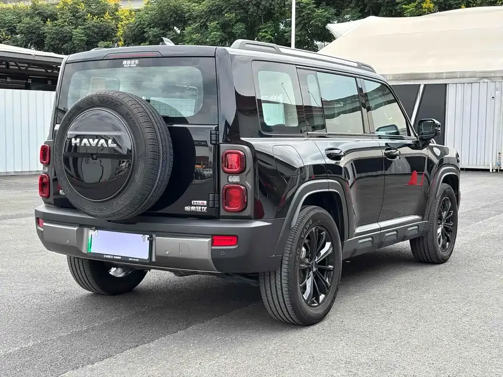 Haval Menglong New Energy 2023 из CN, фото 9