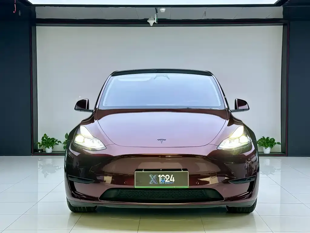 Tesla Model Y 2023 из CN, фото 6