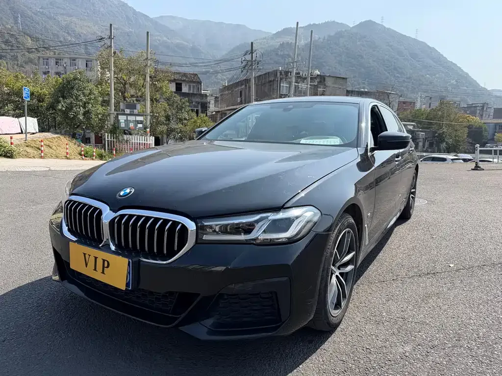 BMW 5 Series 2021 из CN, фото 6