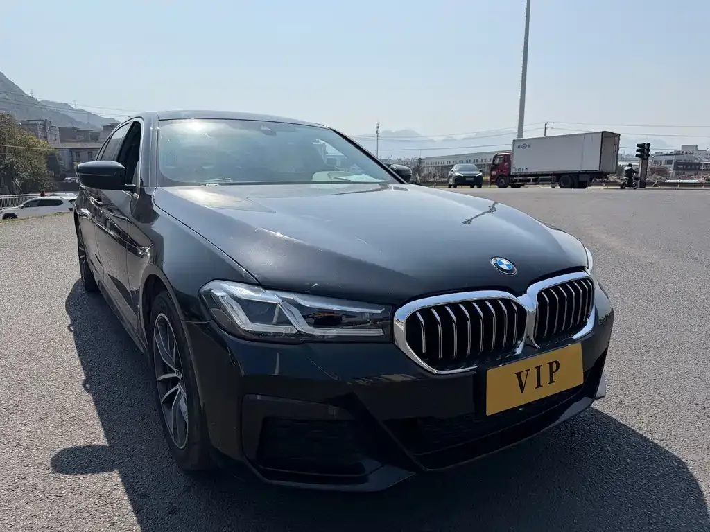 BMW 5 Series 2021 из CN, фото 4