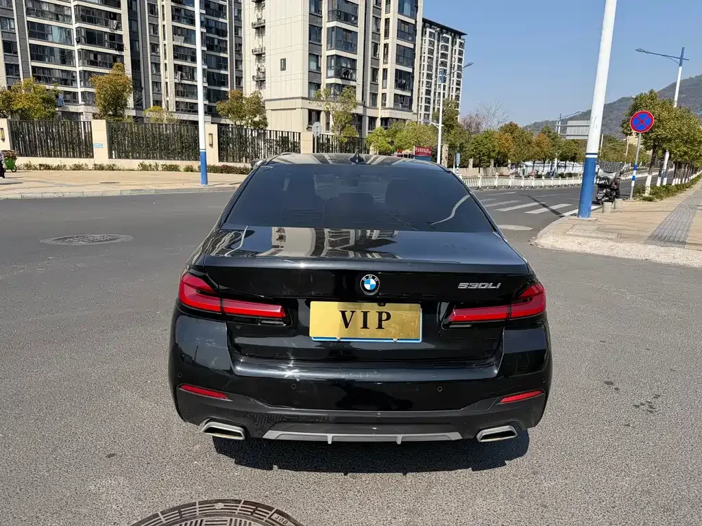 BMW 5 Series 2021 из CN, фото 5