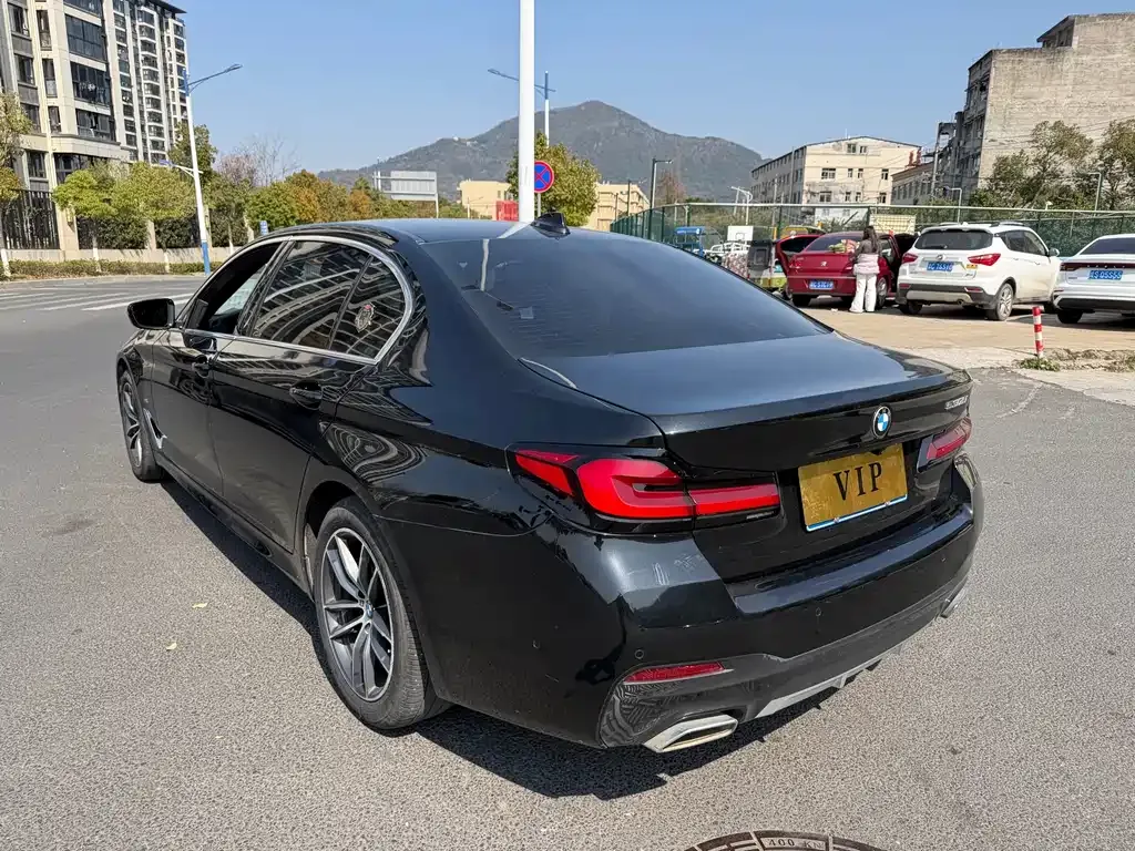 BMW 5 Series 2021 из CN, фото 9