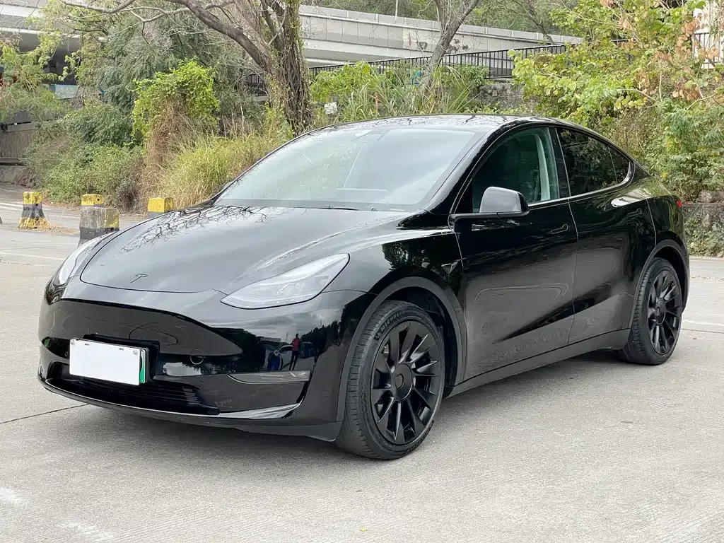 Tesla Model Y — фото 1