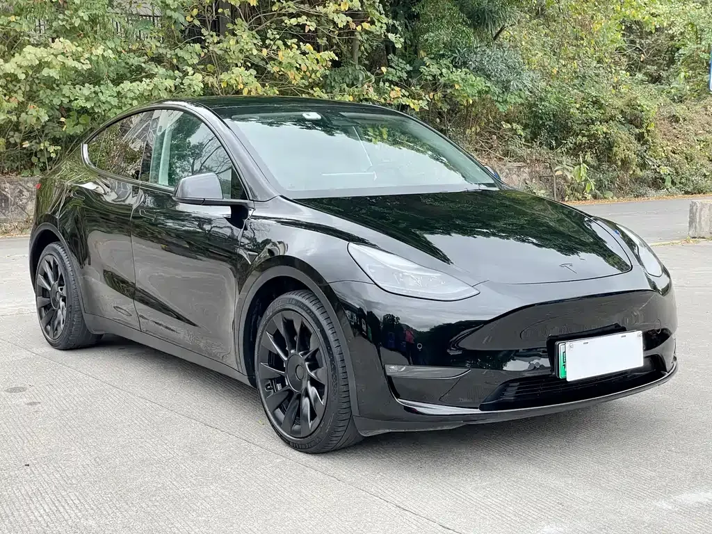 Tesla Model Y — фото 8
