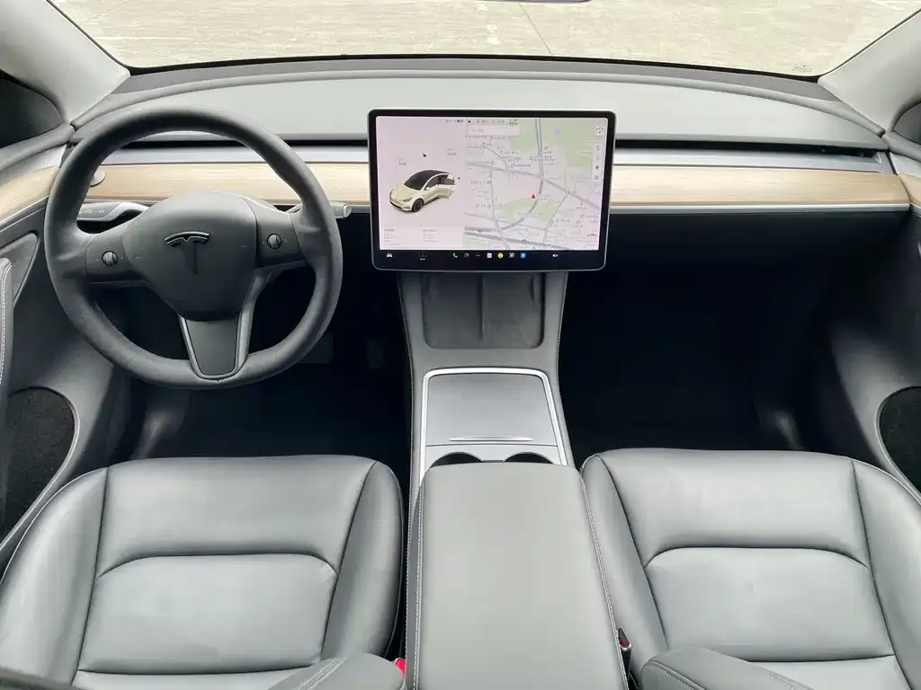 Tesla Model Y — фото 2