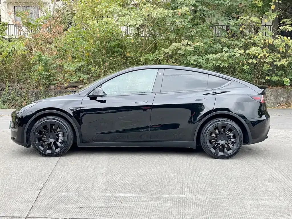 Tesla Model Y — фото 5