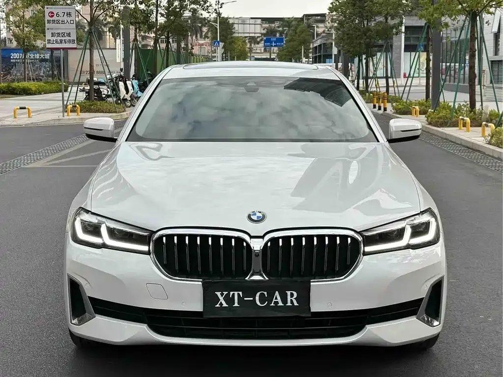 BMW 5 Series 2021 из CN, фото 4