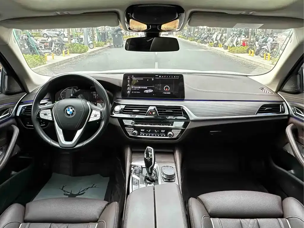 BMW 5 Series 2021 из CN, фото 6