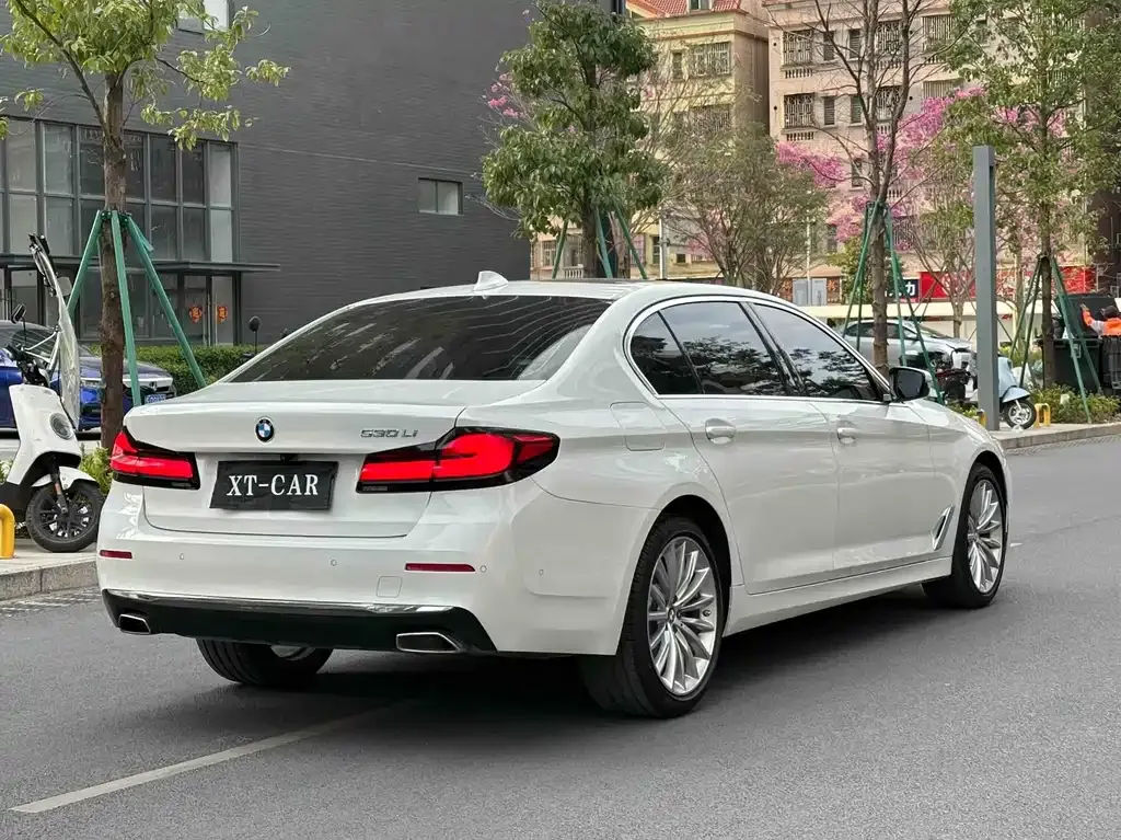 BMW 5 Series 2021 из CN, фото 5