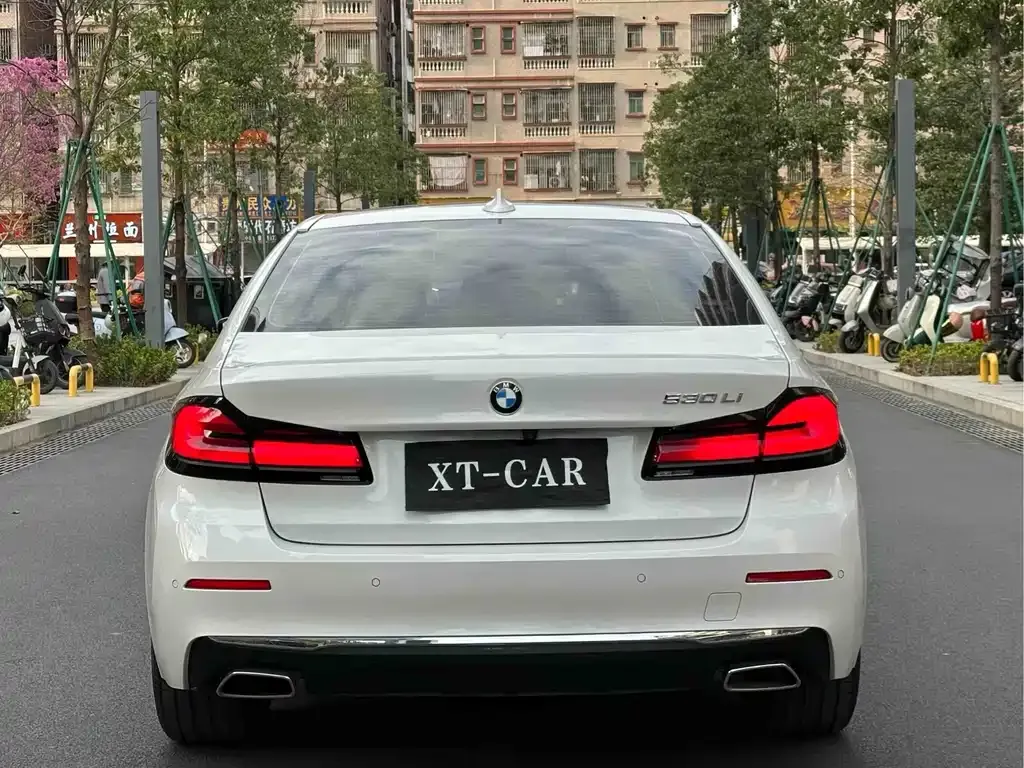 BMW 5 Series 2021 из CN, фото 8