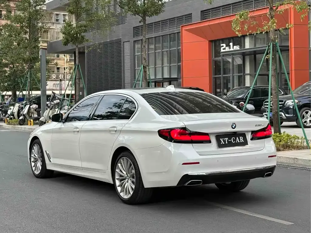 BMW 5 Series 2021 из CN, фото 9