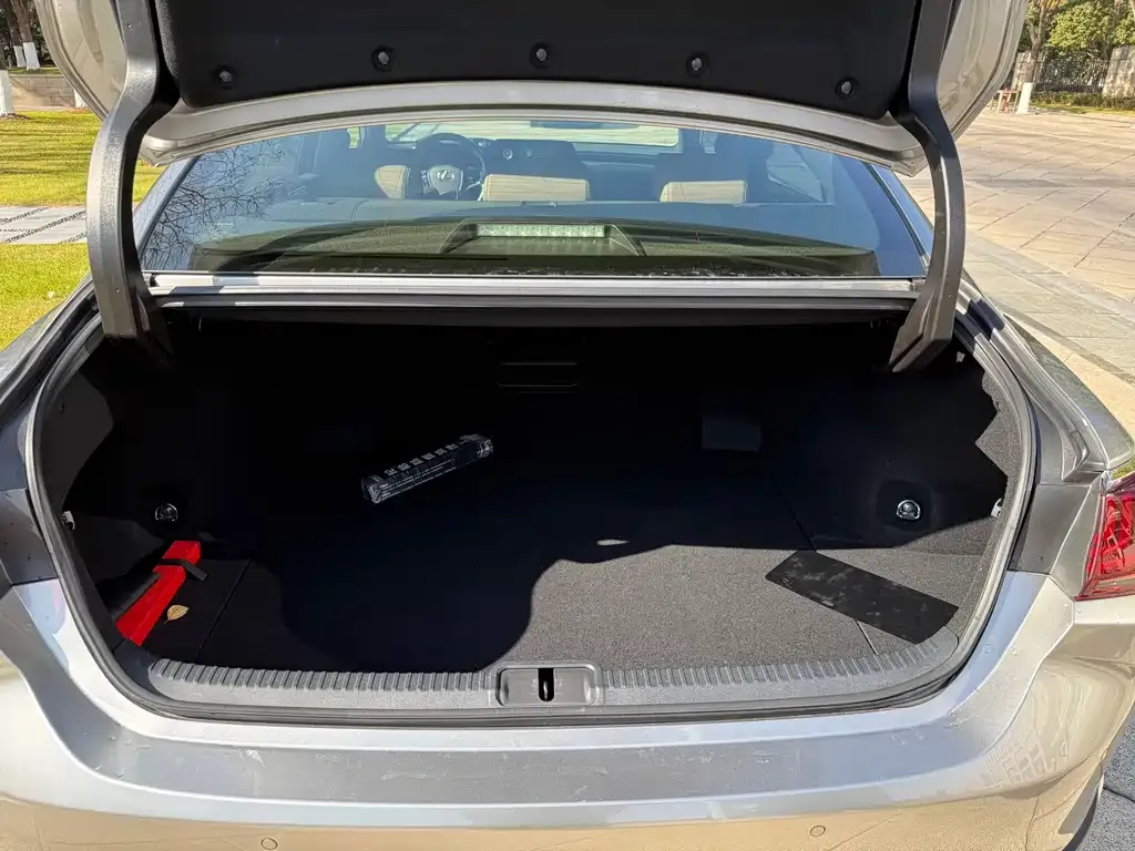 Lexus ES 2021 из CN, фото 4